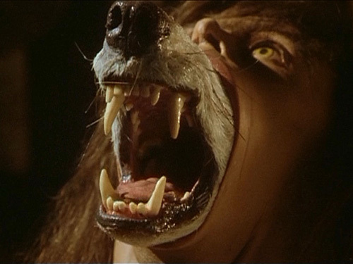 27 Greatest Werewolf Movies - Spooky Werewolf Film List for Halloween