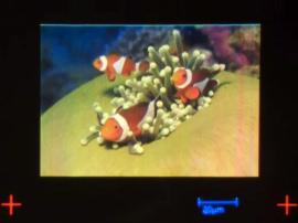 The smallest picture ever printed is tiny enough to fit in a human hair