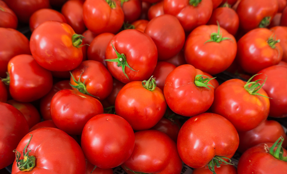 La Tomatina