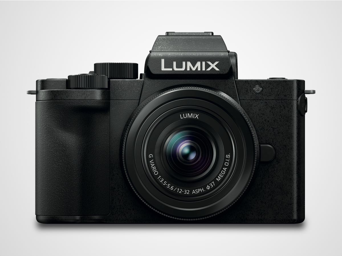 The food fanatic: Panasonic Lumix G100 (£519)