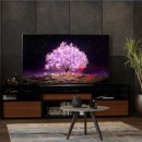 LG currently working on 20-inch OLED panel for future products