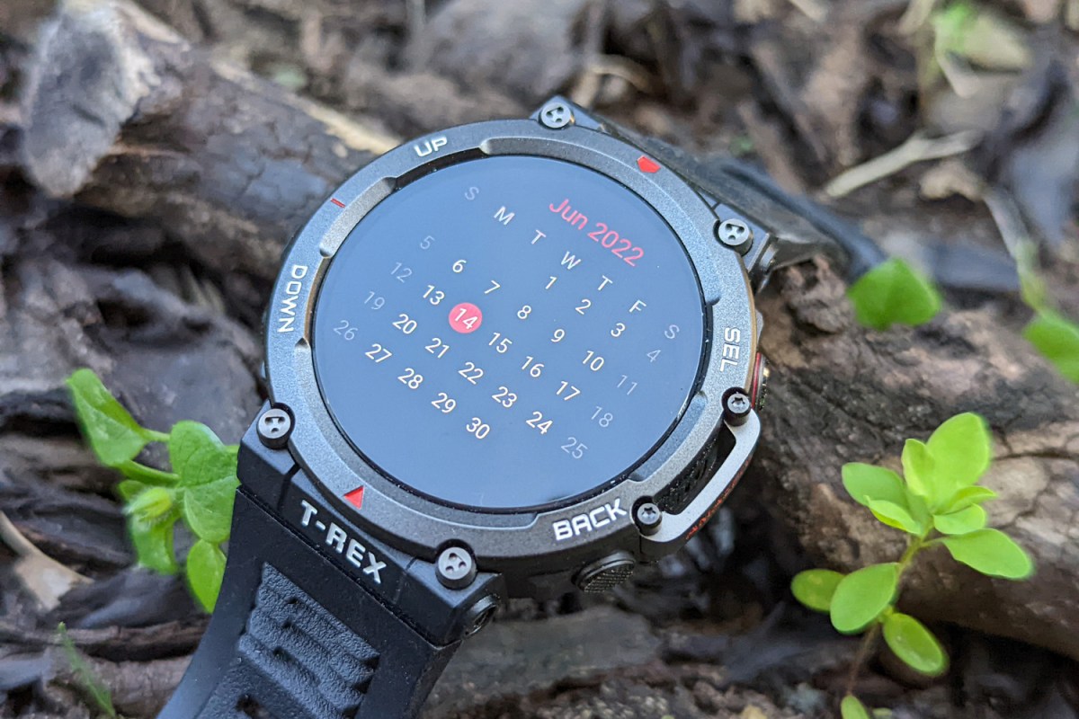 Amazfit T-Rex 2 review: fighting fit | Stuff