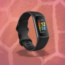 Your Fitbit can now tell you what animal you are