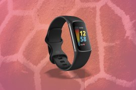 Your Fitbit can now tell you what animal you are