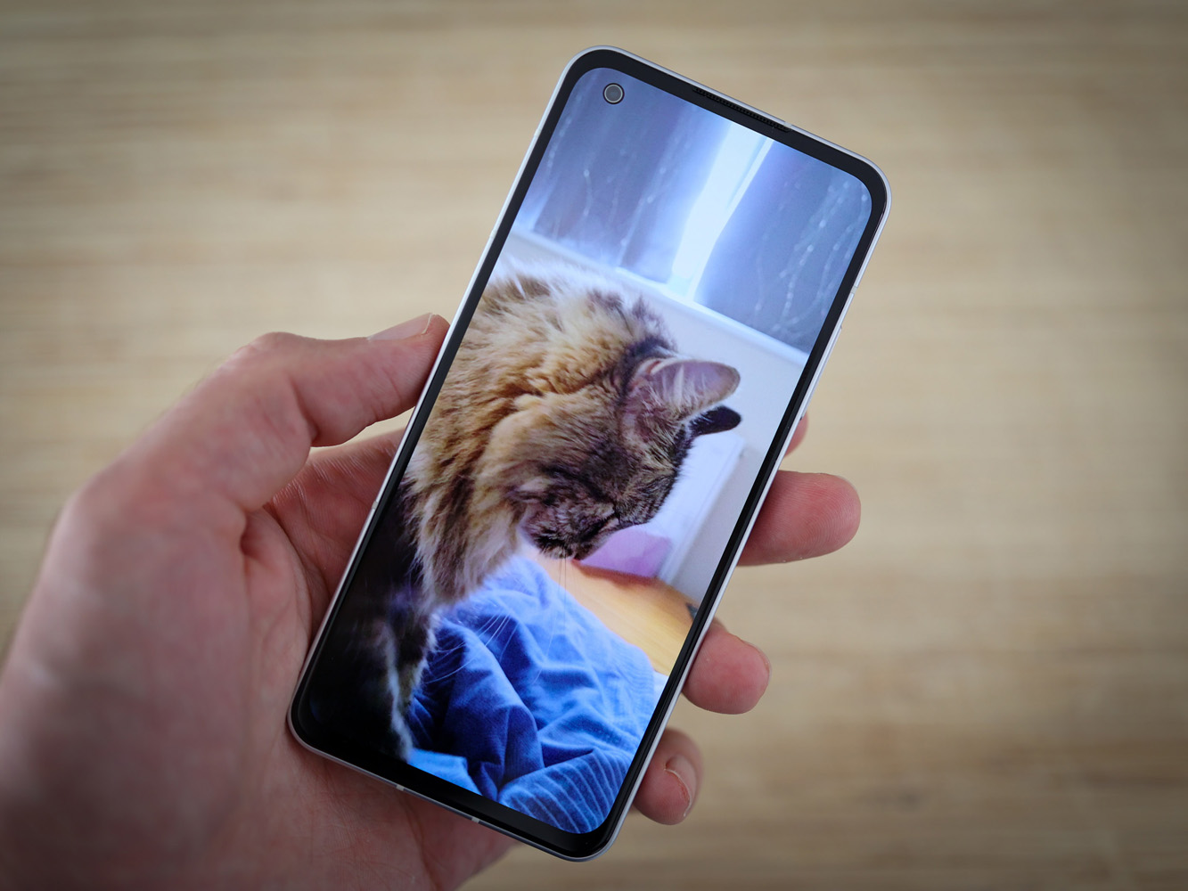 Asus Zenfone 9 display showing cat photo