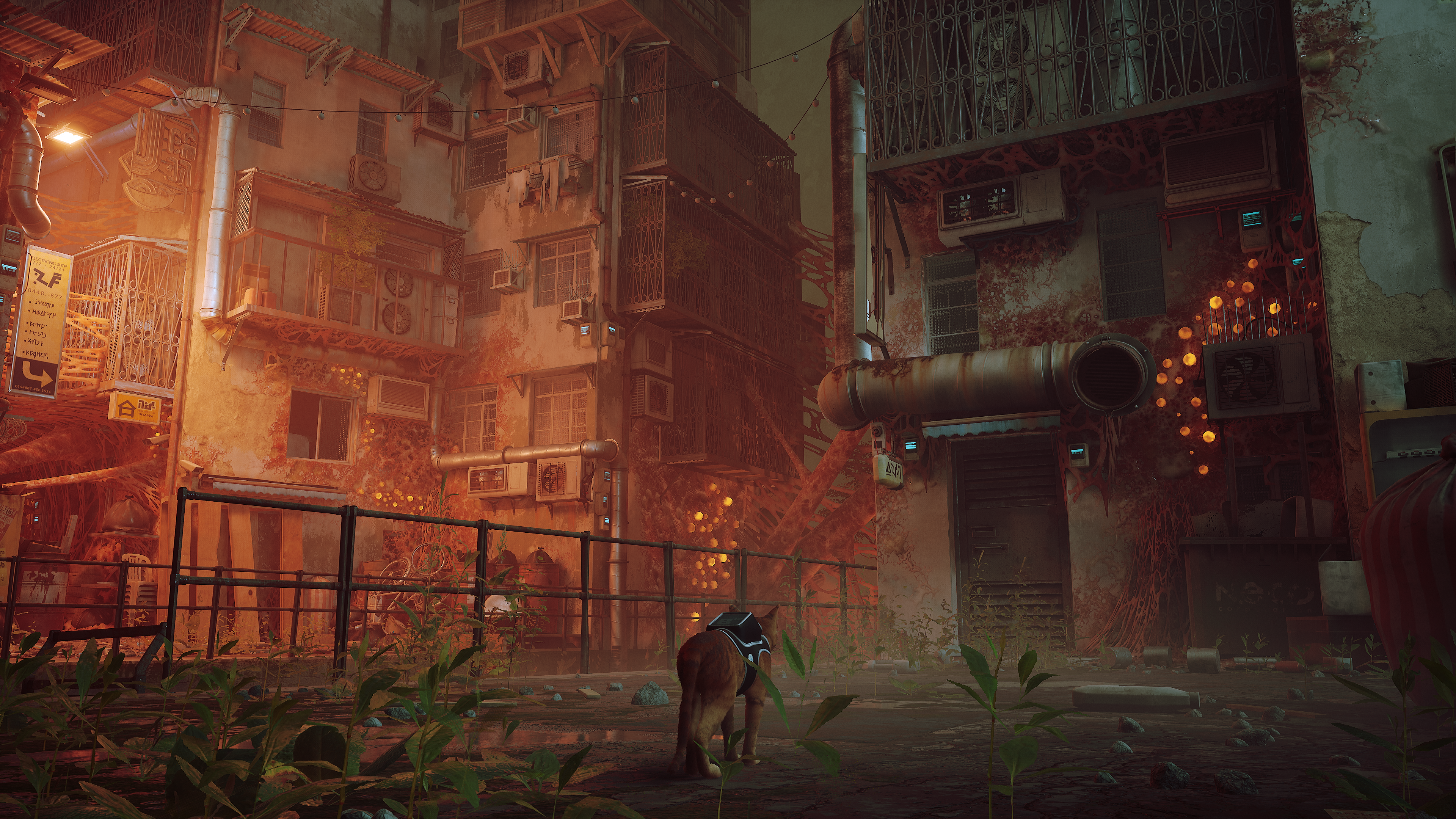 Stray, The Cyberpunk Adventure Game Is Being Adapted Into An