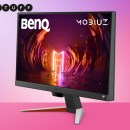 The BenQ Mobiuz EX240N is a speedy but smooth gaming monitor