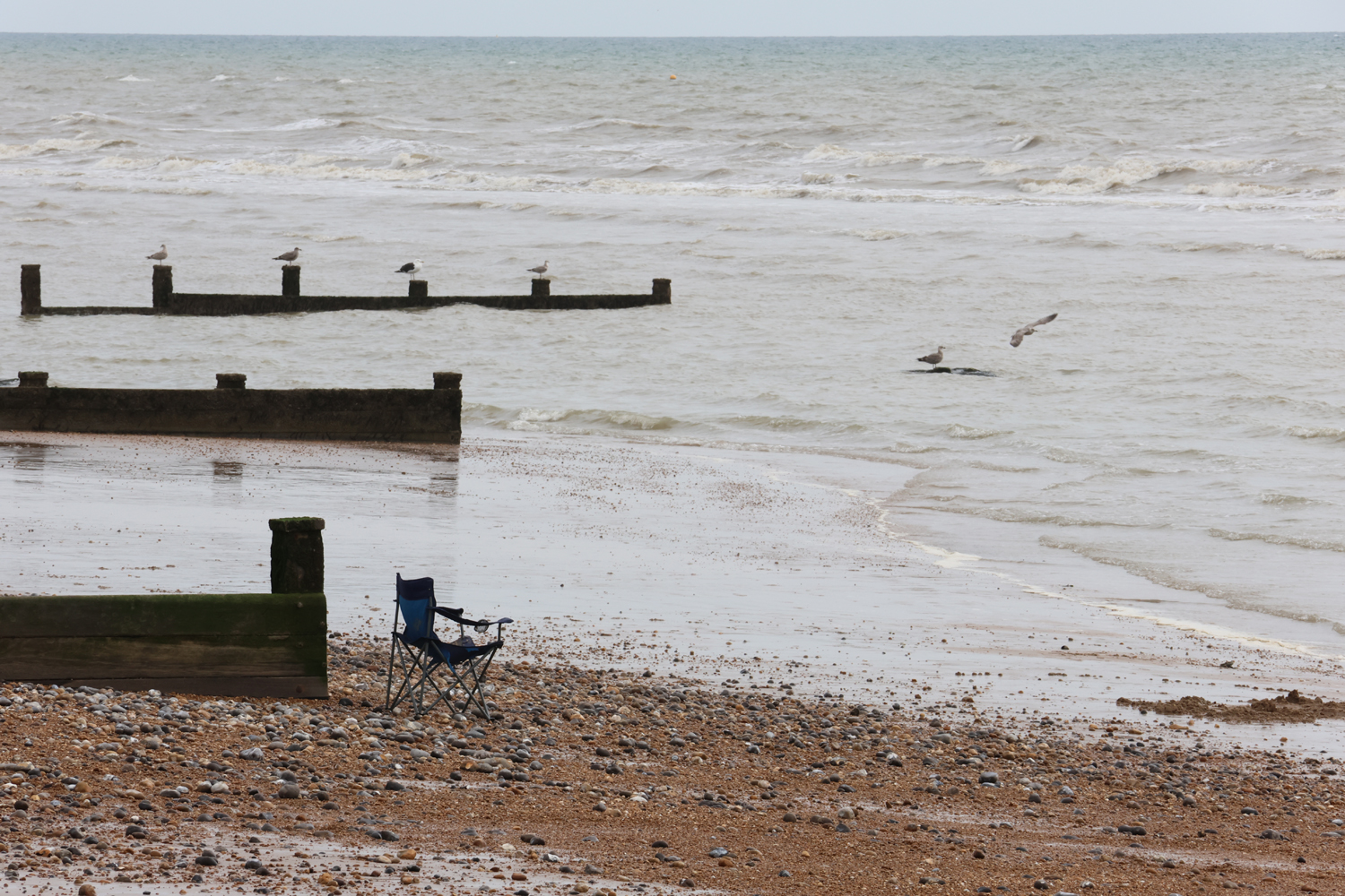 Canon EOS R7 camera samples beach chair