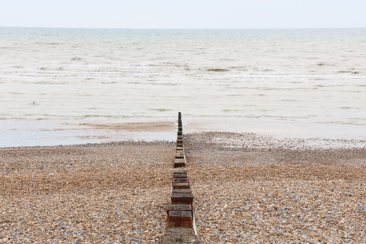 Canon EOS R7 camera samples groynes