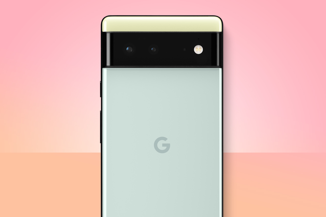 Google Pixel 6 rear