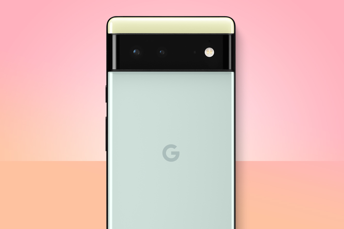 Google Pixel 6 rear