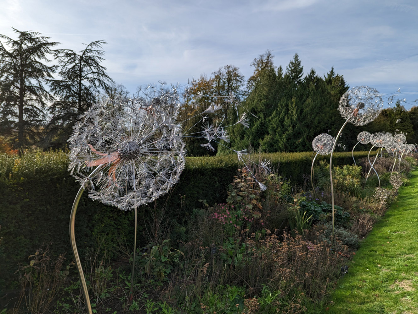 Google Pixel 7 camera samples dandelion sculpture