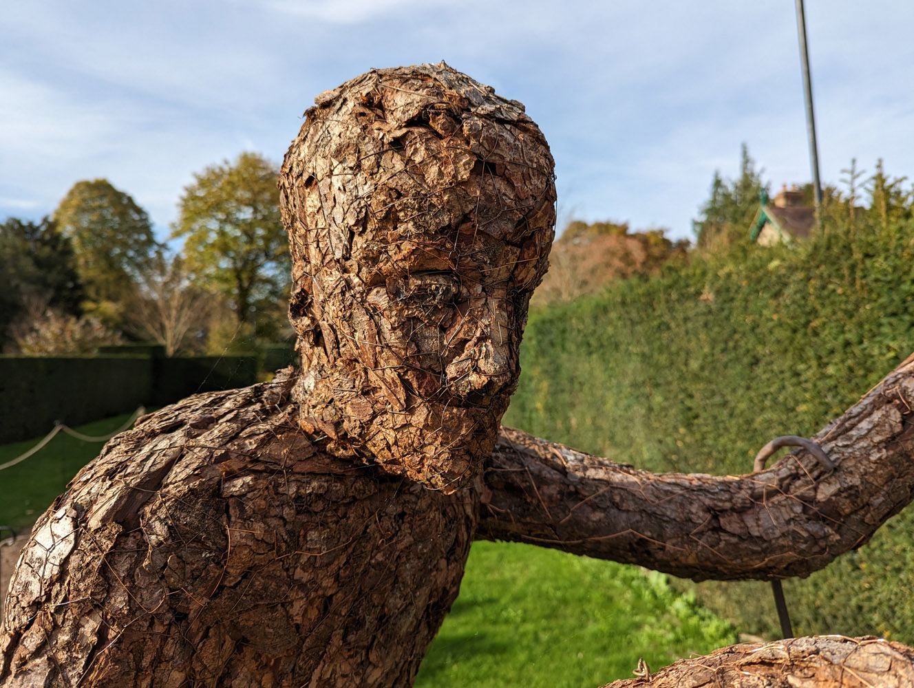 Google Pixel 7 camera samples wooden sculpture