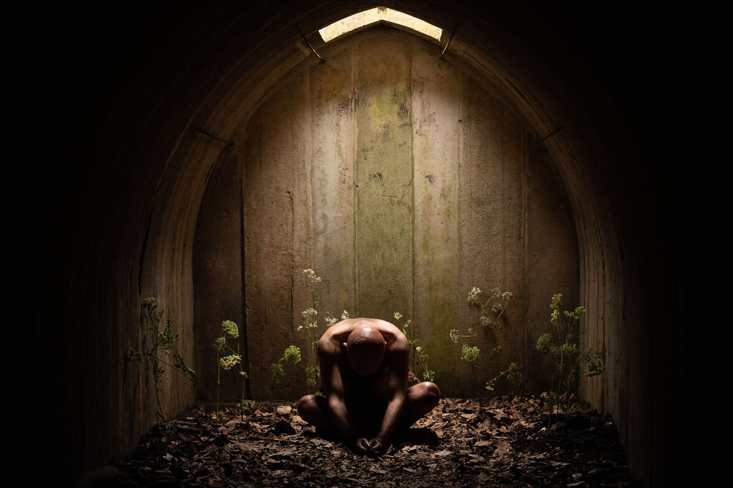 The best horror films on amazon prime video and freevee 2023 stuff