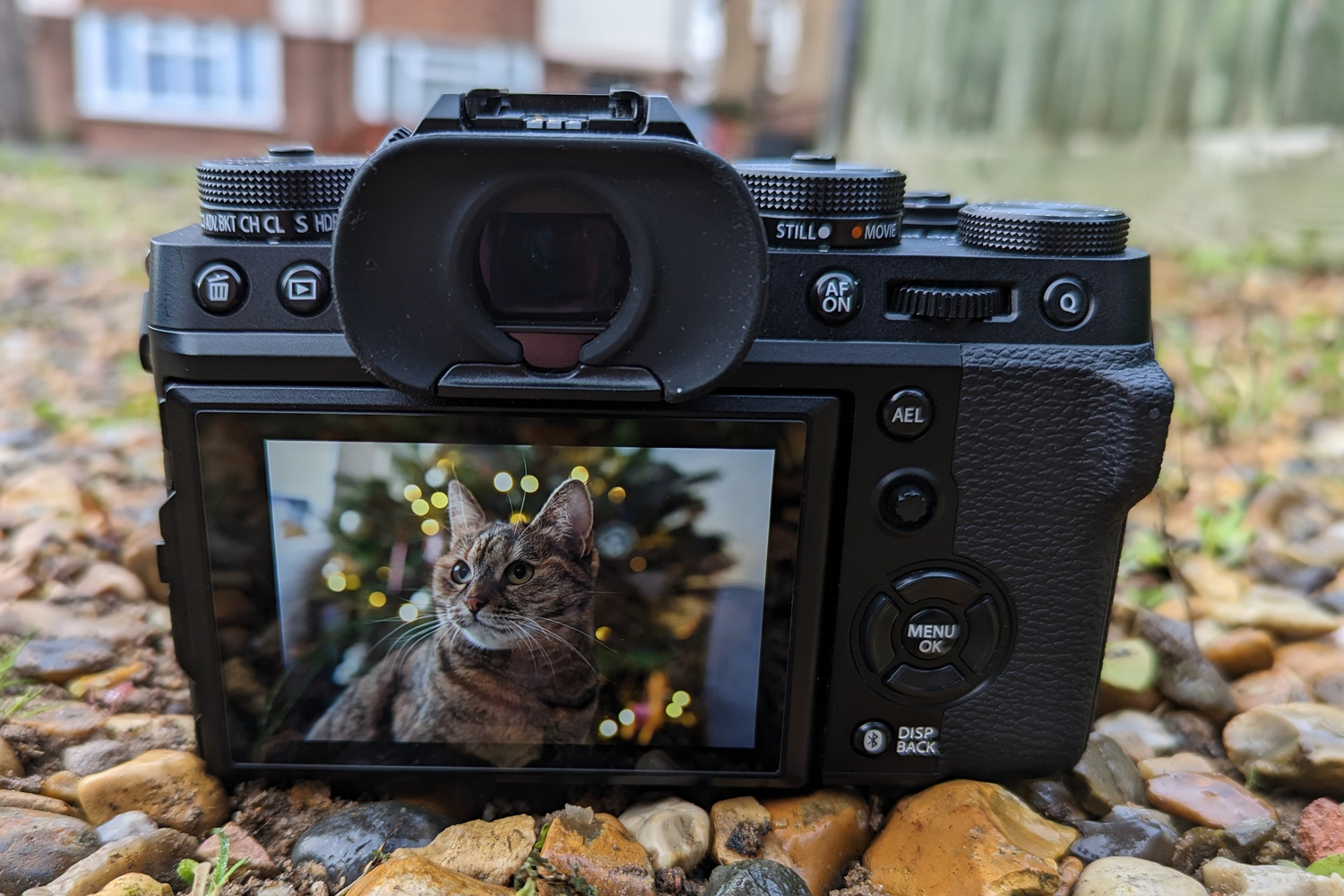 The Fujifilm X-T5 Long-Term Review