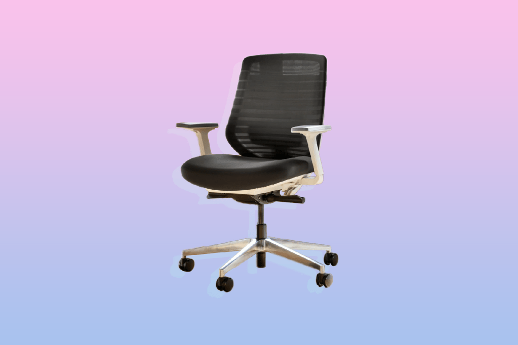 Best Back Supports for Office Chair 2024