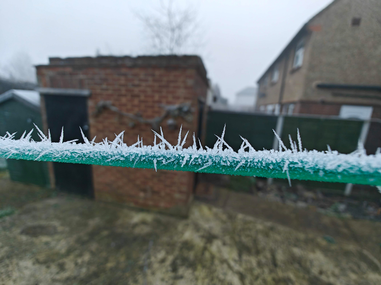 OnePlus 11 camera samples macro washing line