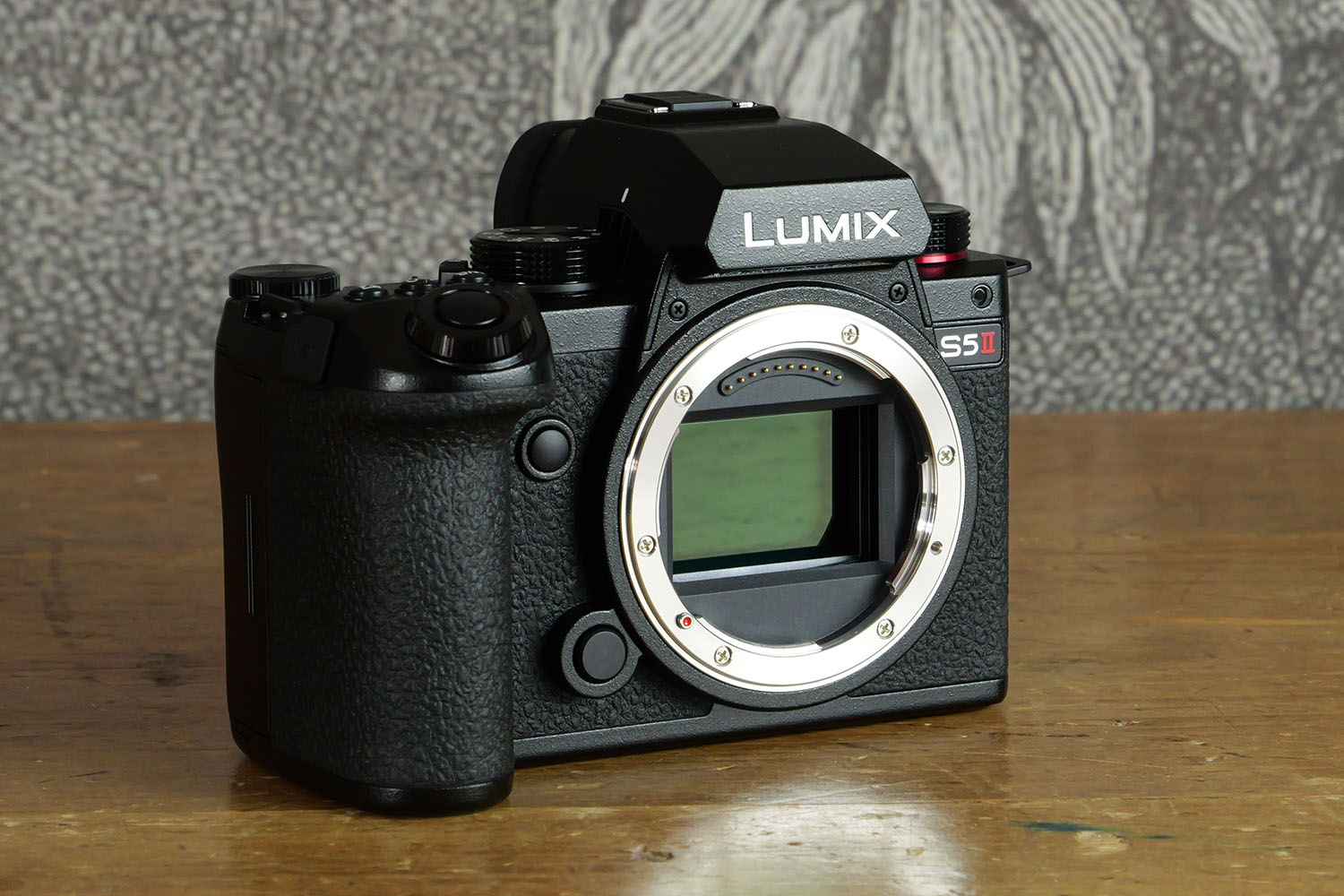 Panasonic Lumix S5 II review: discount do-it-all warrior