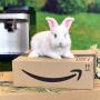 Don’t miss these awesome deals still live after the Amazon Spring Sale