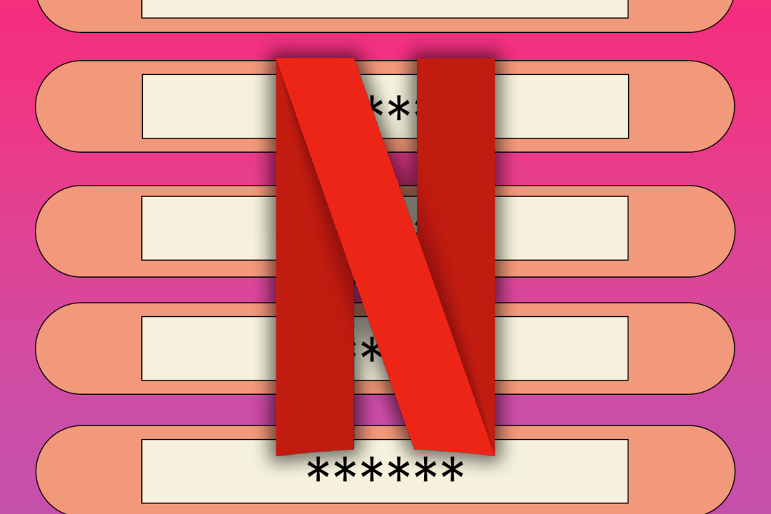 Netflix password sharing