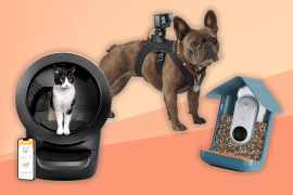 The best pet gadgets for animal lovers and wildlife enthusiasts
