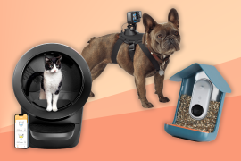 The best pet gadgets for animal lovers and wildlife enthusiasts