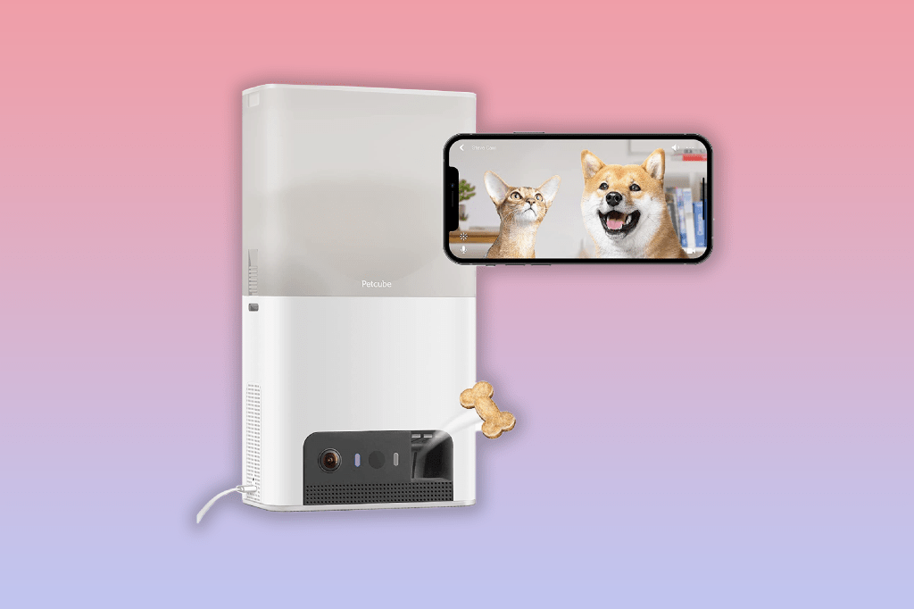 Petcube