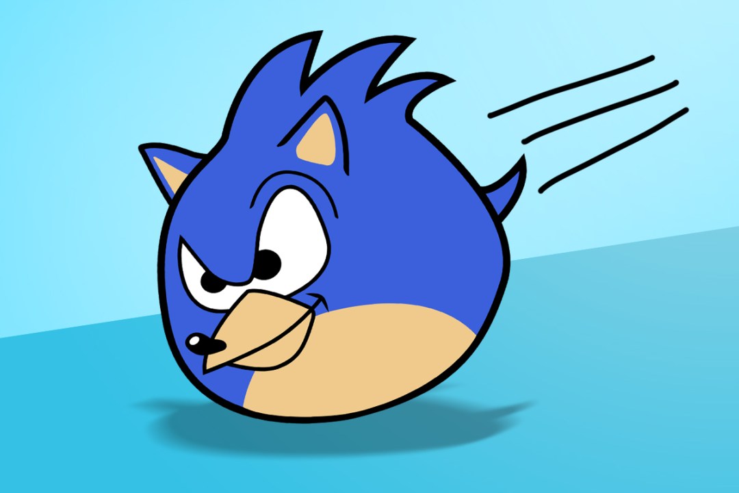Angry Sonic the Bird Hedgehog