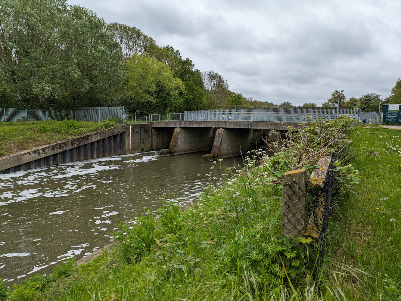 Google Pixel 7a camera samples wier