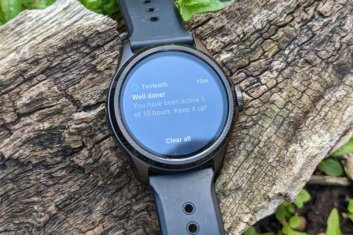 Mobvoi Ticwatch Pro 5 notifications