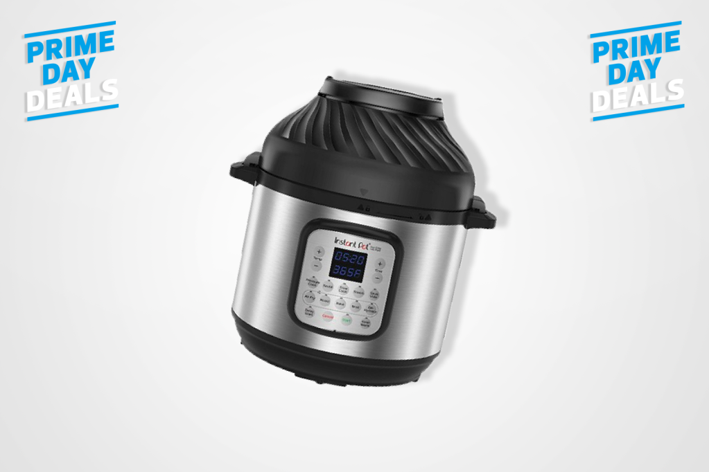 Prime Day Air Fryer