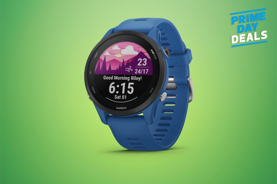 Garmin Forerunner® 255, GPS Running Smartwatch, Advanced Insights,  Long-Lasting Battery, Slate Gray