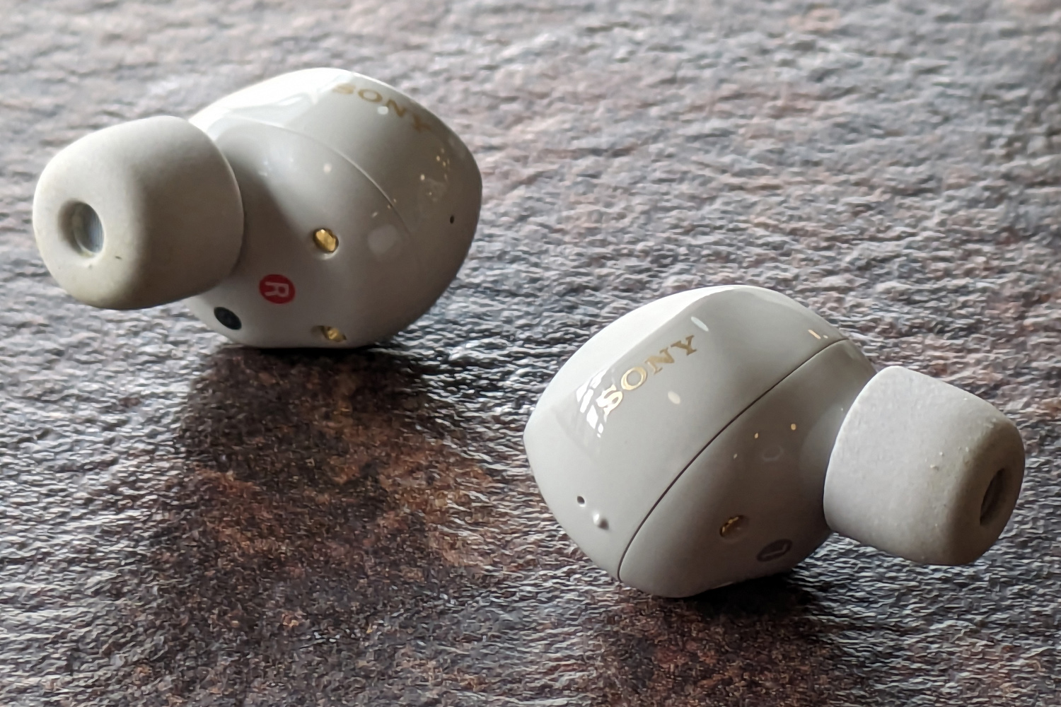 Sony WF-1000XM5 earbuds logo