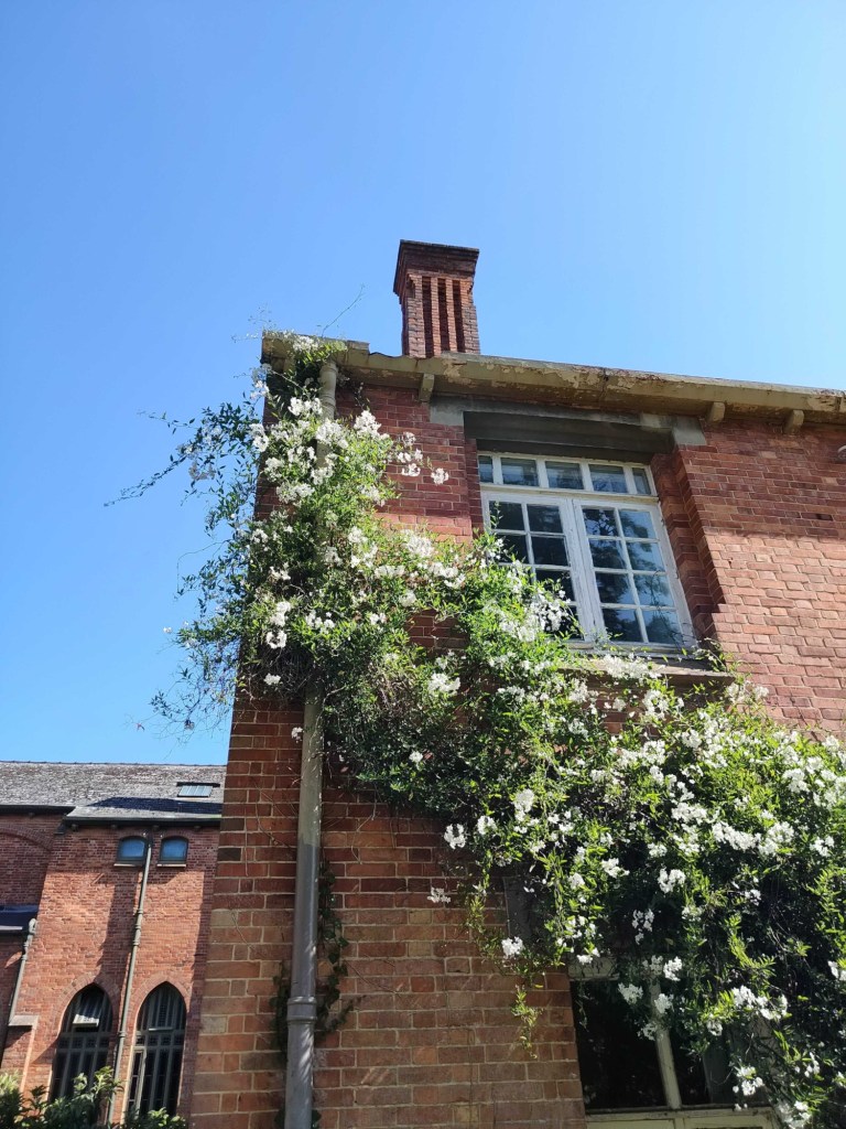 House with flowers trailing up the side