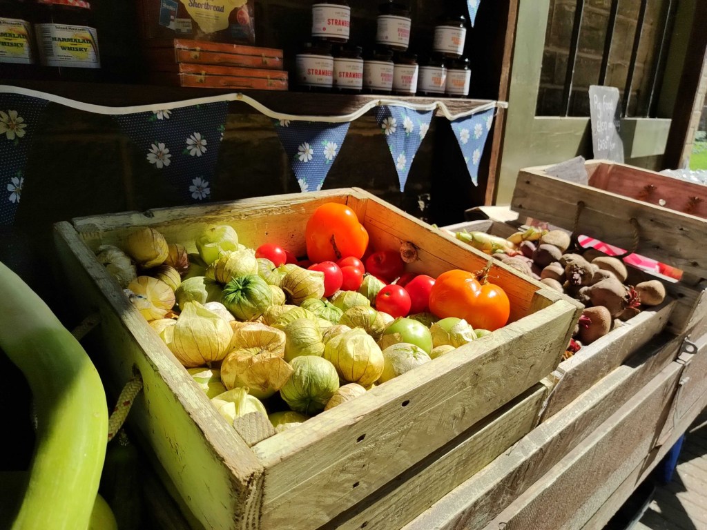 Basket of fruit