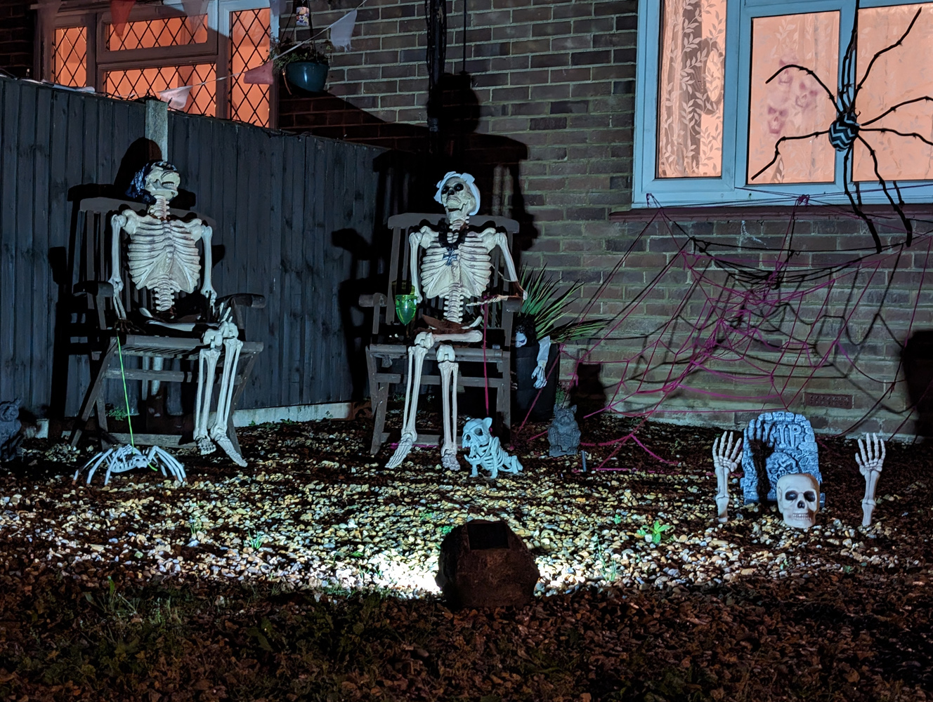 Google Pixel 8 camera samples night skeletons