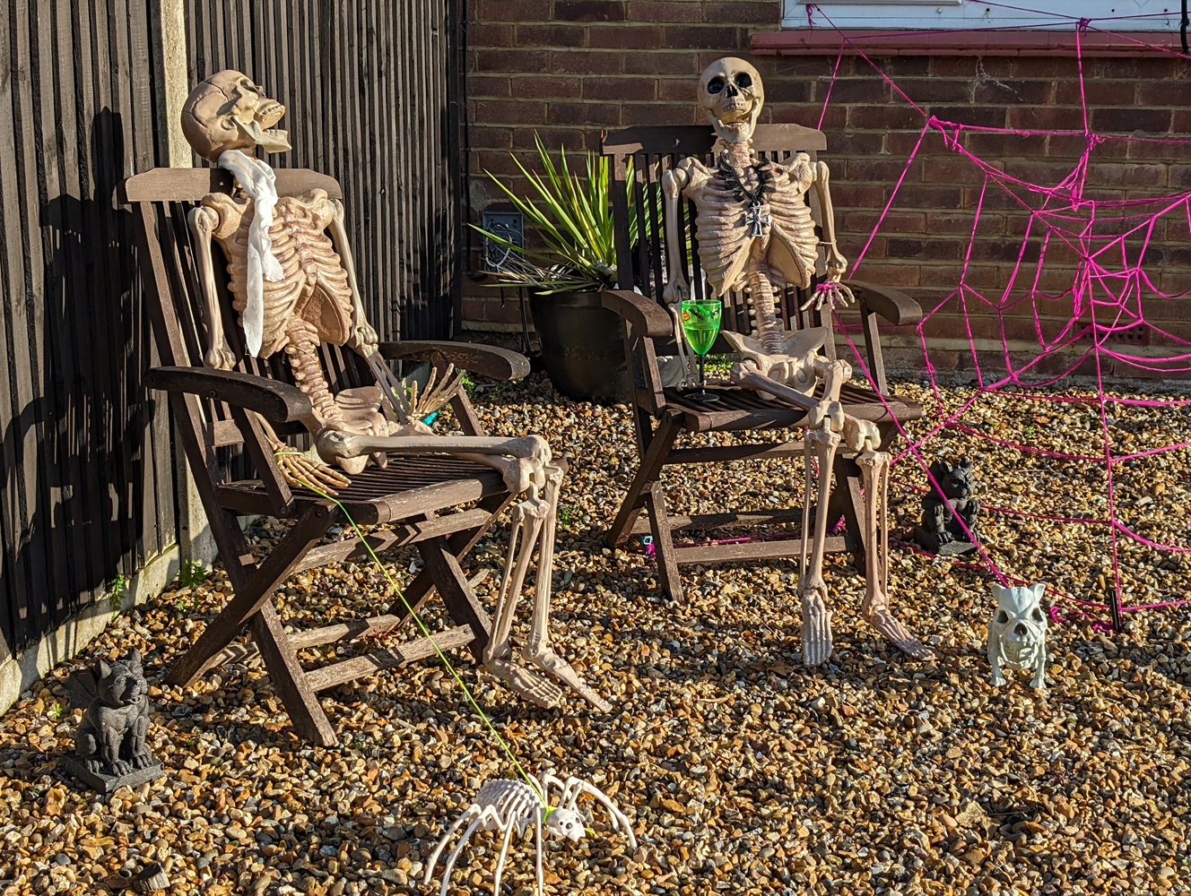 Google Pixel 8 camera samples skeletons