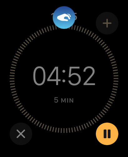 Apple Watch Double Tap timer