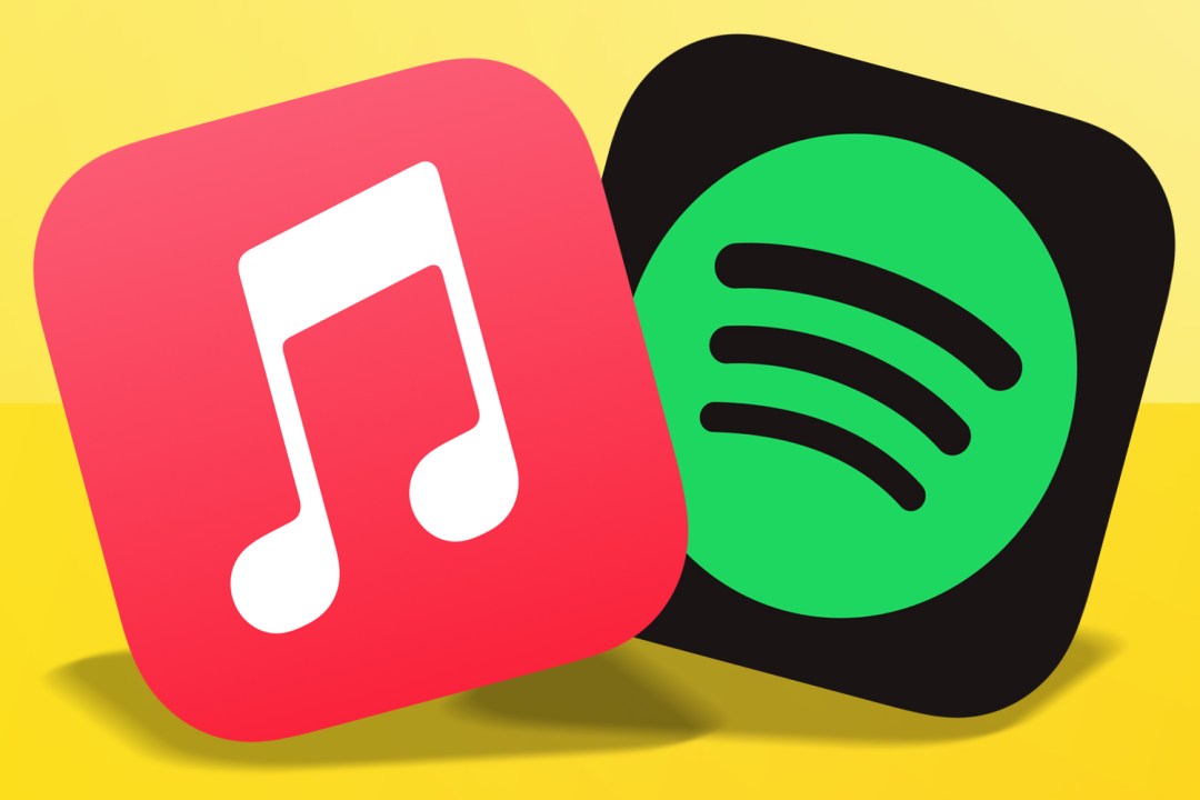 Apple Replay and Spotify Wrapped – Apple Music and Spotify icons