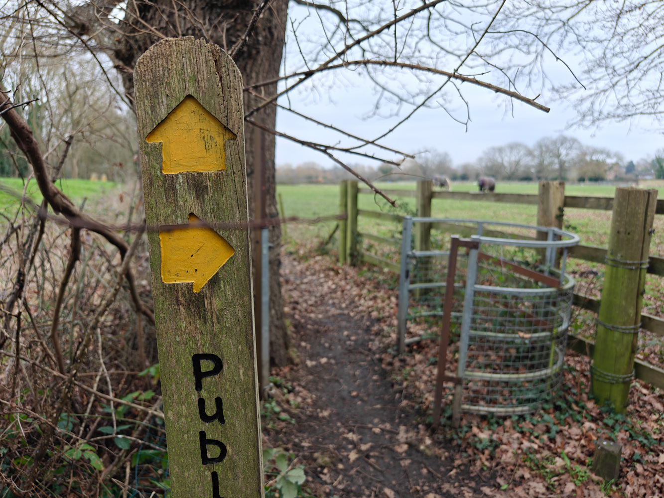 Oppo FInd X7 Ultra camera samples footpath sign