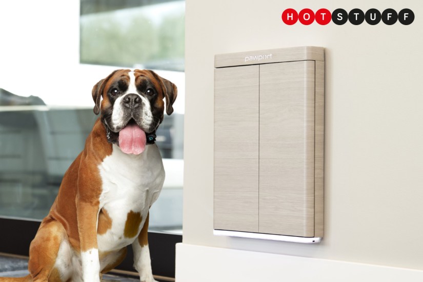 This smart pet door from Pawport makes letting the dog out safer and more convenient