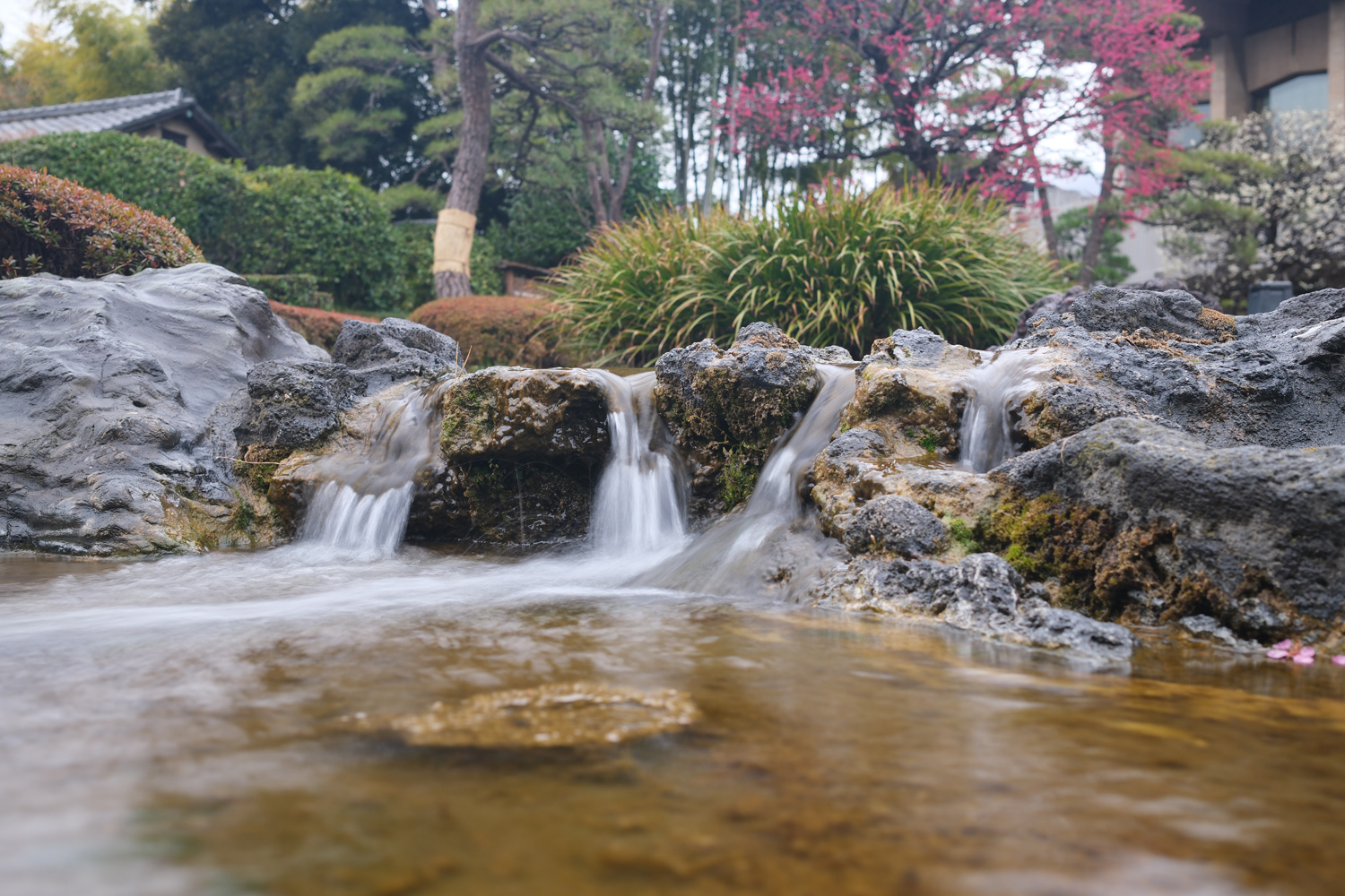 Fujifilm X100 VI samples flowing water