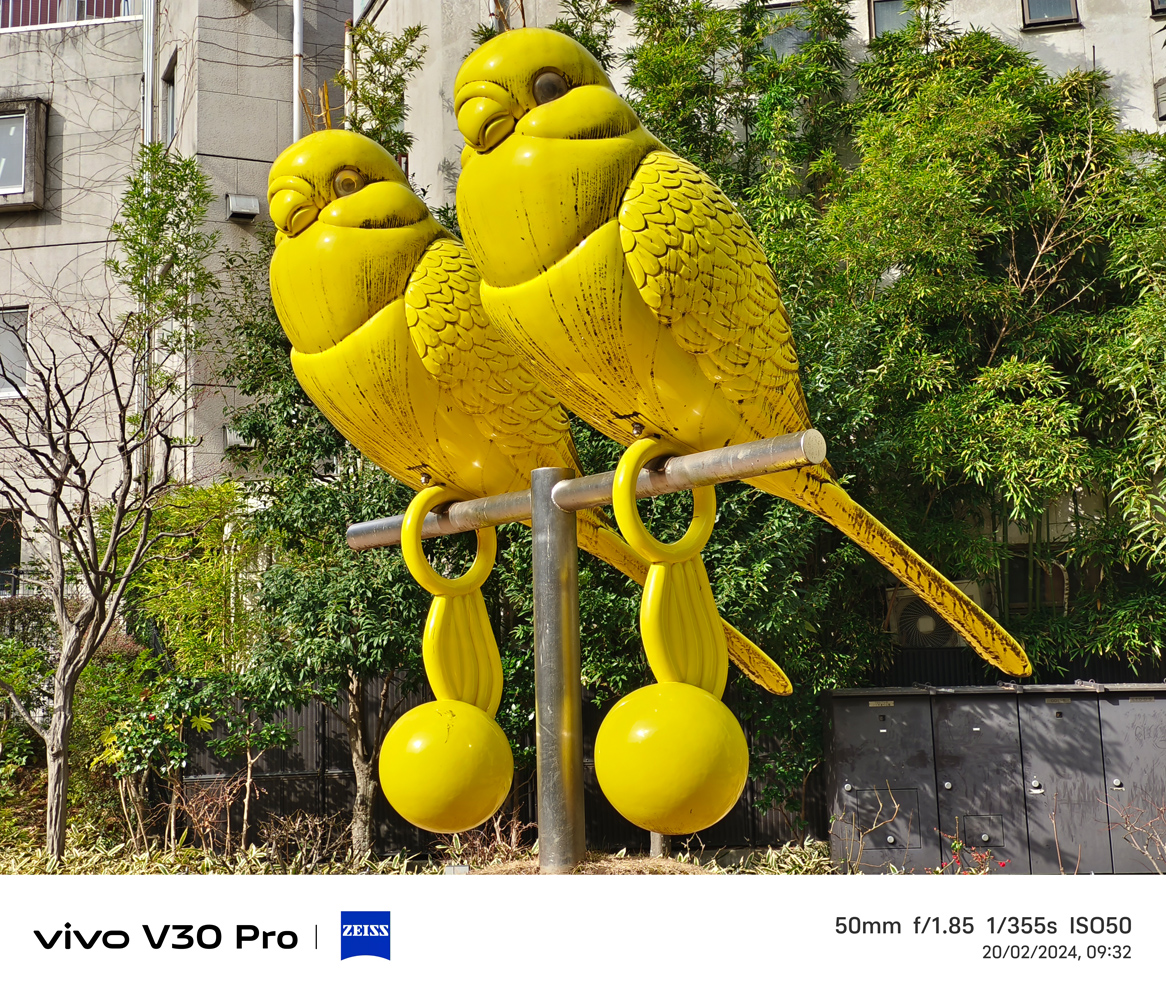 Vivo V30 Pro camera samples birds