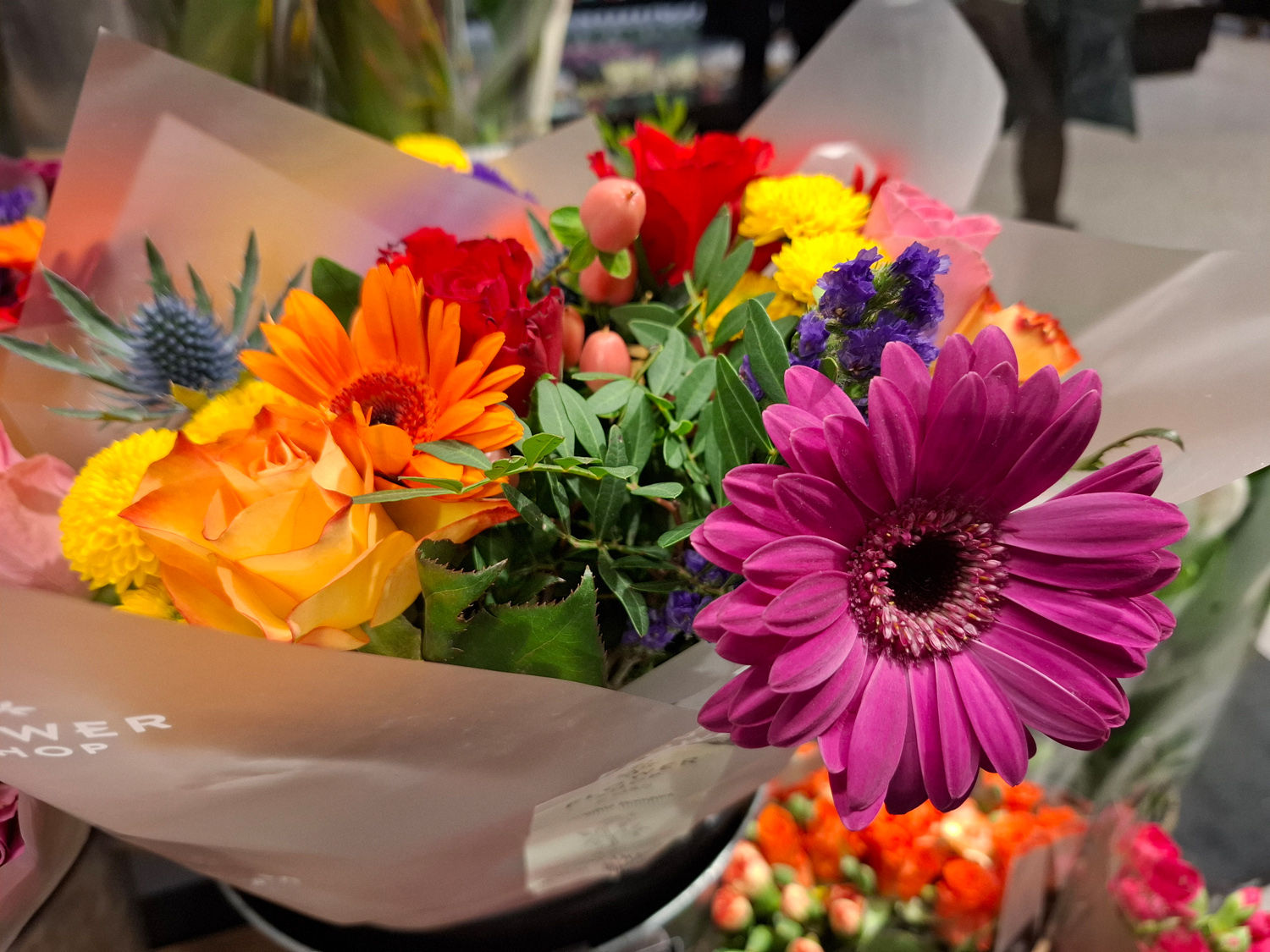 Samsung Galaxy A55 camera samples flowers