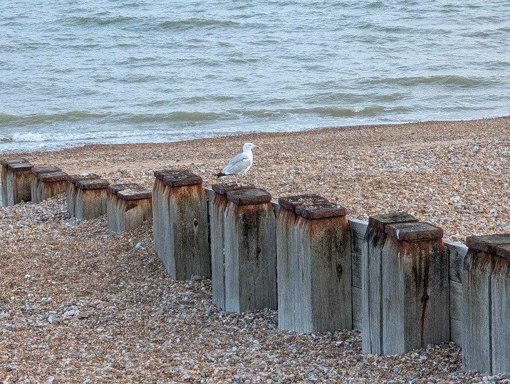 Google Pixel 9 Pro XL camera samples beach 5x