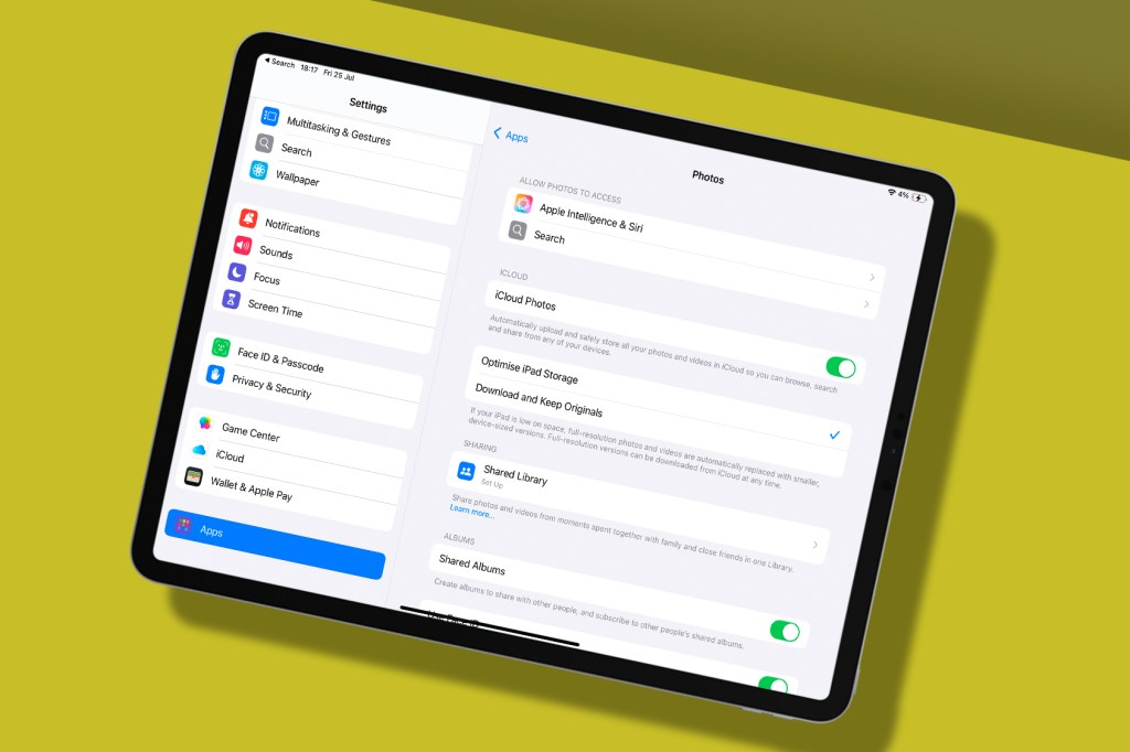 iPad Photos backup