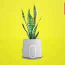 Best eco gifts for Christmas 2024