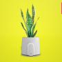 Best eco gifts for Christmas 2024