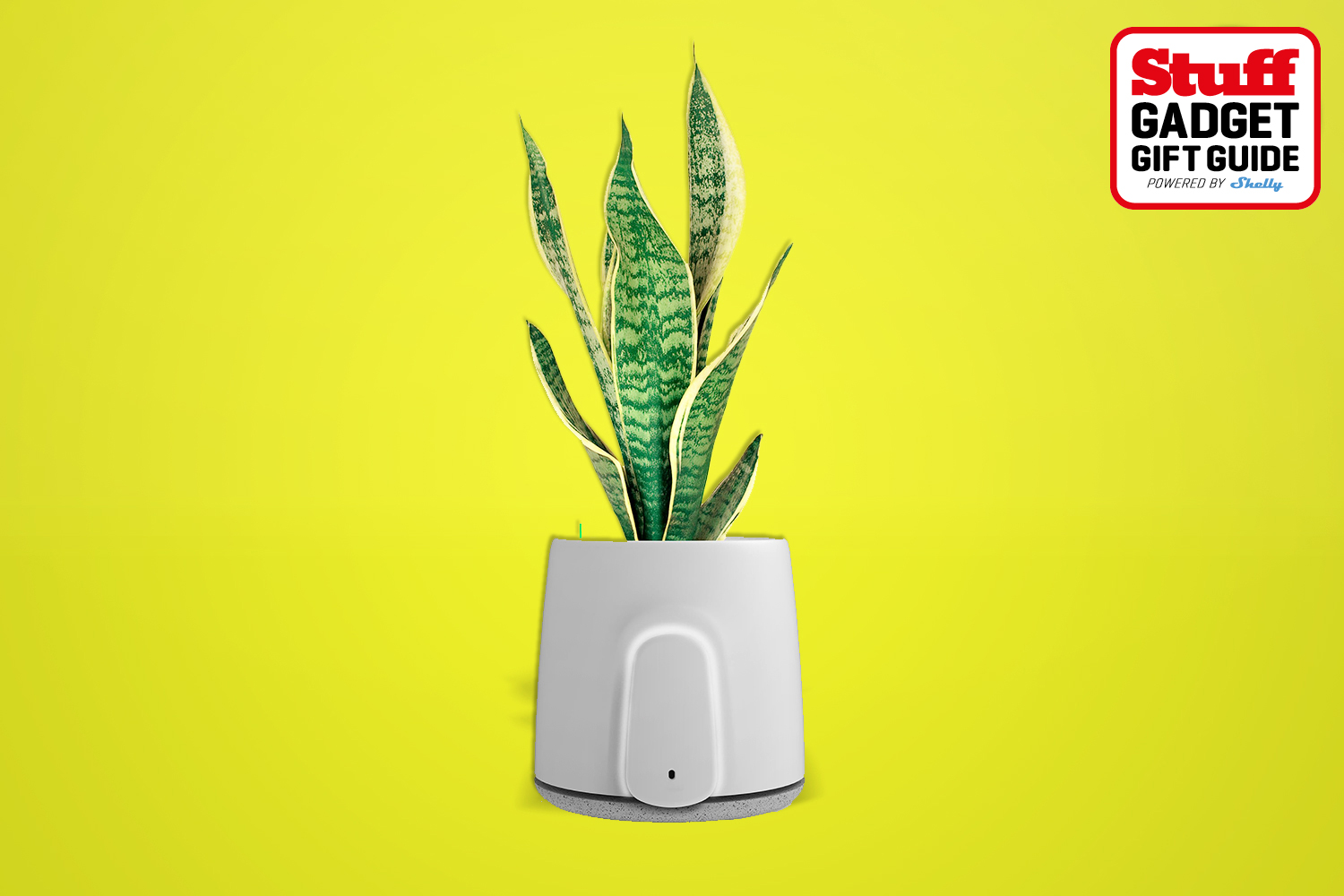 best-eco-gifts-for-christmas-2024
