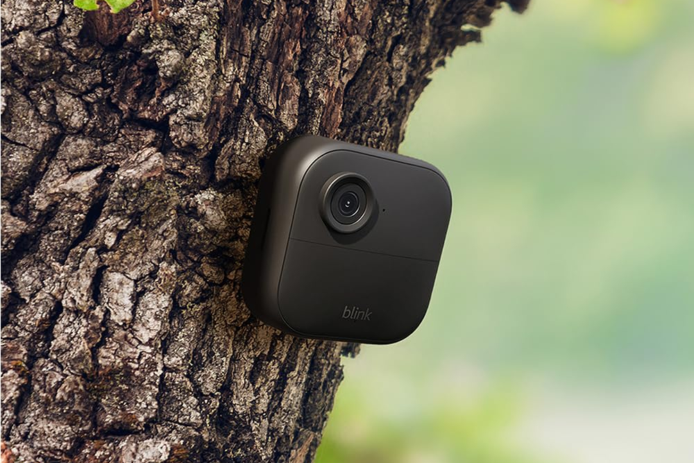 Blink Outdoor 4 on tree